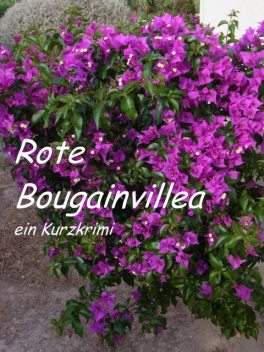 Rote Bougainvillea, Lucy van Geldern