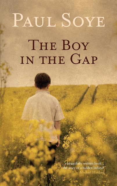 The Boy in the Gap, Paul Soye