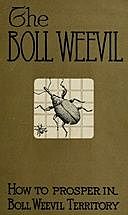 How to Prosper in Boll Weevil Territory, George Howard Alford