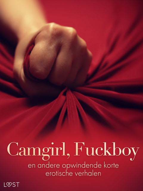 Camgirl, Fuckboy en andere opwindende korte erotische verhalen, Lisa Vild, Malin Edholm, B.J. Hermansson, Katja Slonawski, Camille Bech, Fabien Dumaître