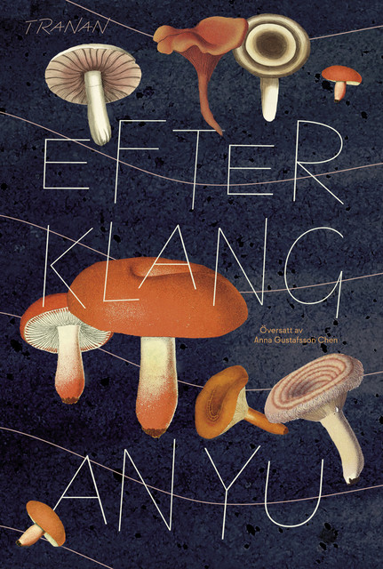 Efterklang, An Yu