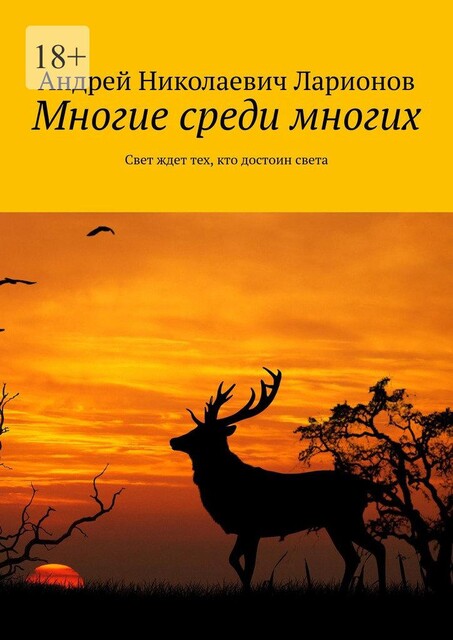 Многие среди многих. Свет ждет тех, кто достоин света, Андрей Ларионов