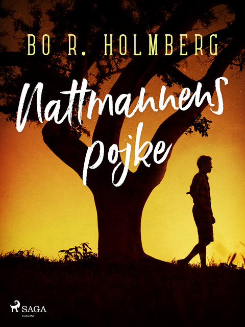 Nattmannens pojke, Bo R. Holmberg