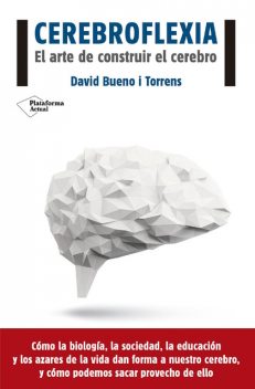 Cerebroflexia, David Bueno i Torrens