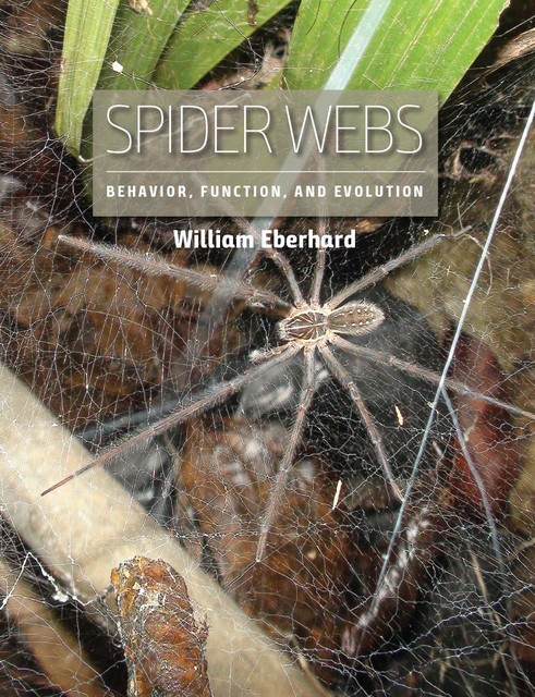 Spider Webs, William Eberhard