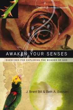 Awaken Your Senses, J.Brent Bill, Beth Booram