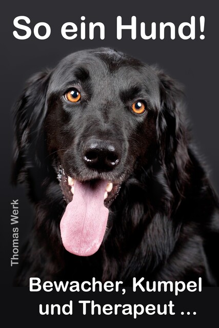 So ein Hund, Thomas Werk
