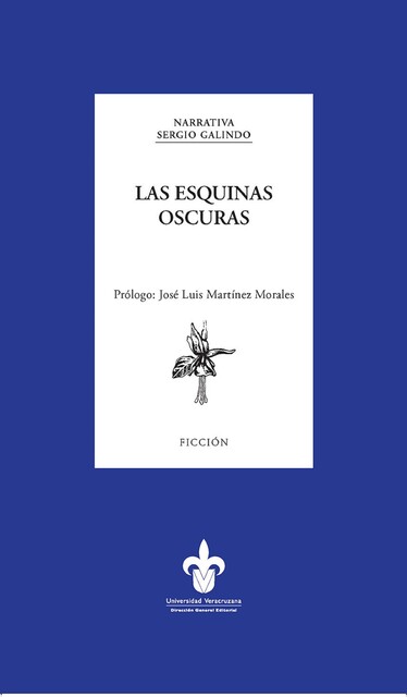 Las esquinas oscuras, Sergio Galindo