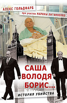 САША, ВОЛОДЯ, БОРИС. История Убийства, Алекс Гольдфарб, Марина Литвиненко