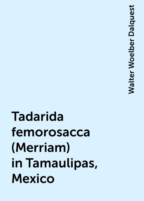 Tadarida femorosacca (Merriam) in Tamaulipas, Mexico, Walter Woelber Dalquest