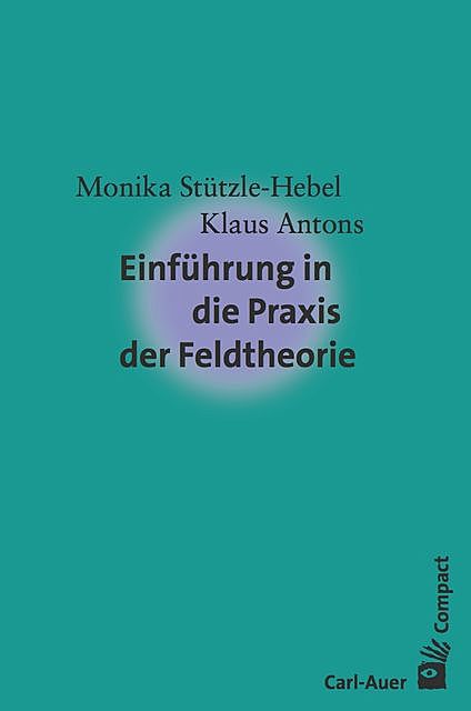 Einführung in die Praxis der Feldtheorie, Klaus Antons, Monika Stützle-Hebel