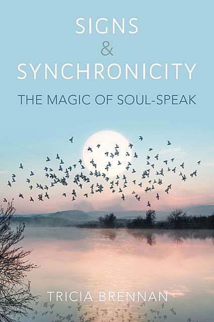 Signs & Synchronicity, Tricia Brennan