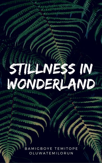 Stillness In Wonderland, Bamigboye Temitope Oluwatemilorun