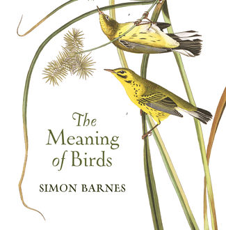 The Meaning Of Birds, Simon Barnes