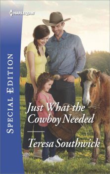 Just What the Cowboy Needed, Teresa Southwick