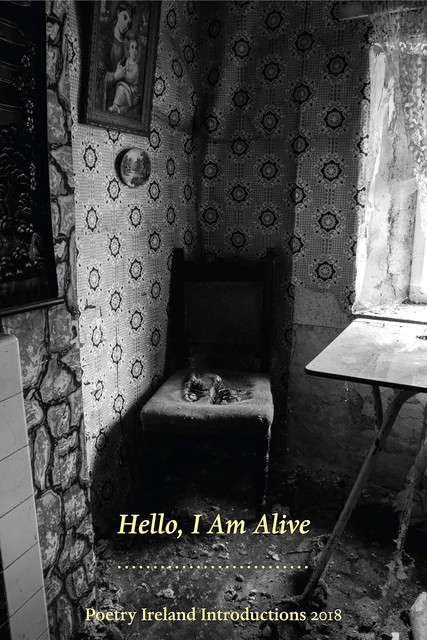 Hello, I am Alive: Poetry Ireland Introductions 2018, Paul Lenehan
