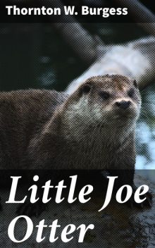 Little Joe Otter, Thornton Burgess