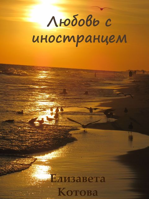 Любовь с иностранцем, Елизавета Котова