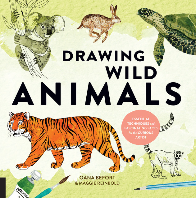 Drawing Wild Animals, Maggie Reinbold, Oana Befort