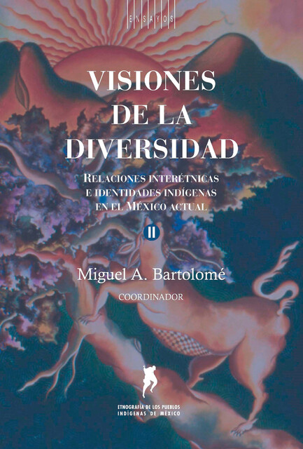 Visiones de la diversidad, Miguel Bartolomé