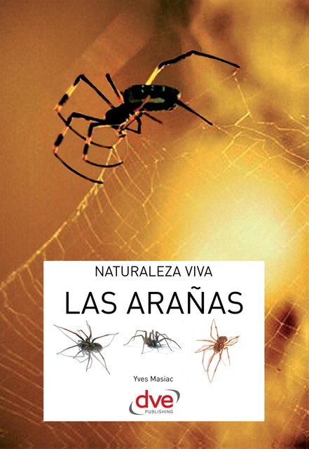 Las arañas, Yves Masiac