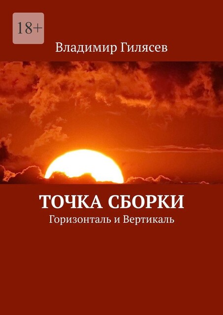 Точка Сборки. Горизонталь и Вертикаль, Владимир Гилясев