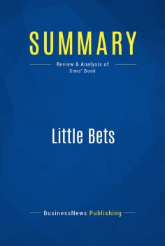 Summary : Little Bets – Peter Sims, BusinessNews Publishing
