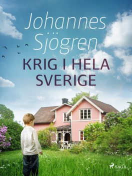 Krig i hela Sverige, Johannes Sjögren