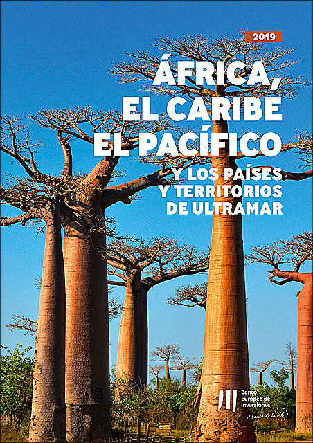 Actividad del BEI en África, el Caribe, el Pacífico y en los Países y Territorios de Ultramar, Banco Europeo de Inversiones