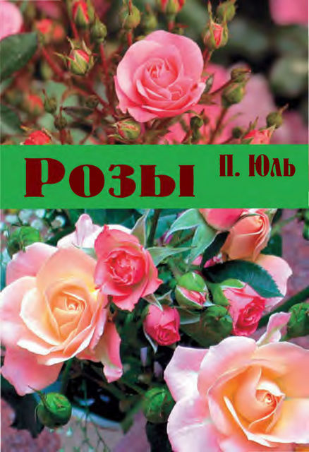 Розы, Петр Юль