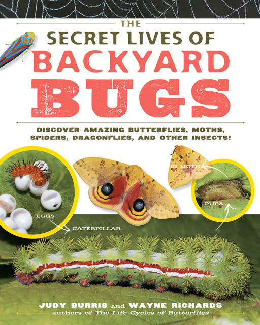The Secret Lives of Backyard Bugs, Judy Burris, Wayne Richards