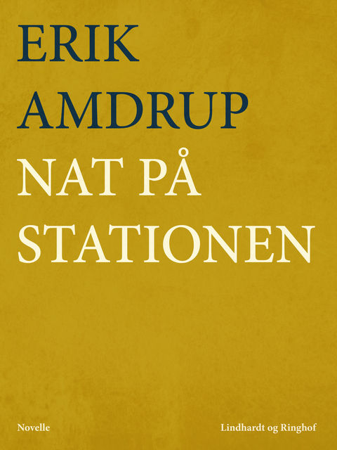 Nat på stationen, Erik Amdrup