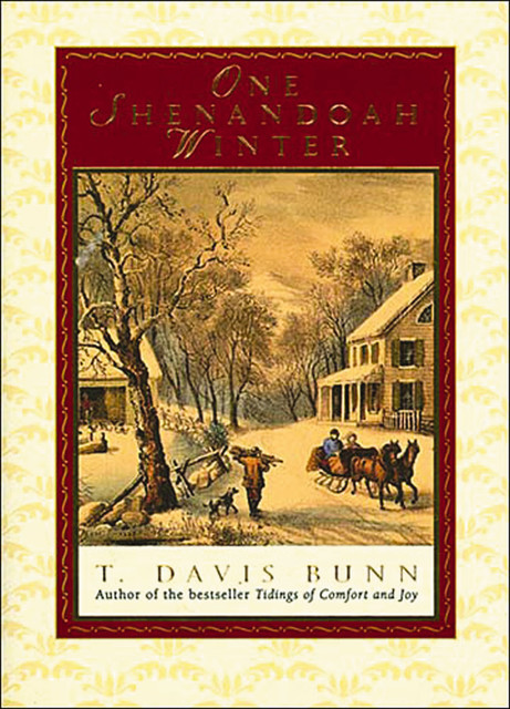 One Shenandoah Winter, Davis Bunn
