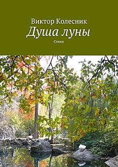Душа луны, Виктор Колесник
