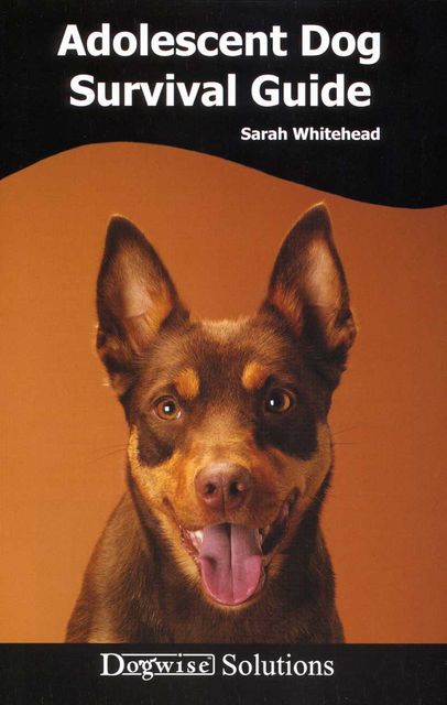 ADOLESCENT DOG SURVIVAL GUIDE, Sarah Whitehead