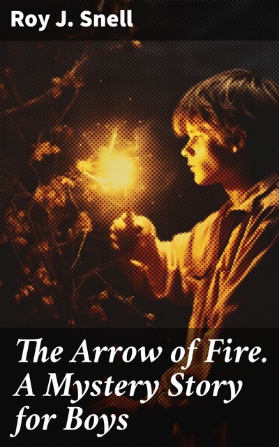 The Arrow of Fire A Mystery Story for Boys, Roy J.Snell