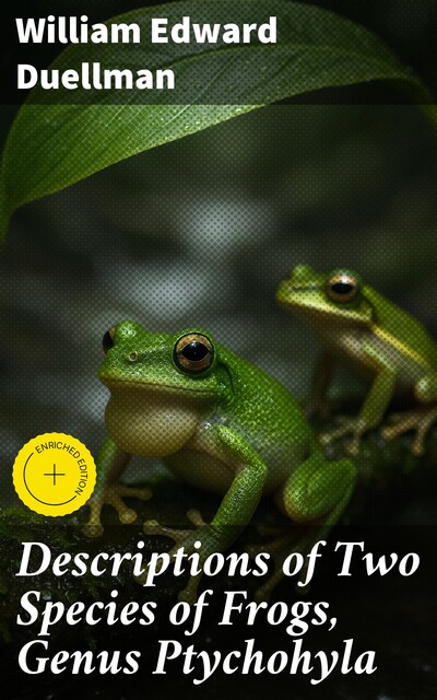 Descriptions of Two Species of Frogs, Genus Ptychohyla, William Edward Duellman