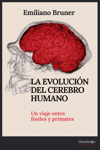 La evolución del cerebro humano, Emiliano Bruner