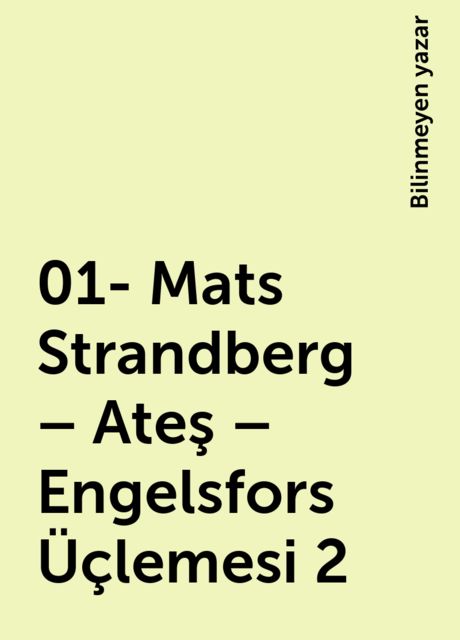 01- Mats Strandberg – Ateş – Engelsfors Üçlemesi 2, Bilinmeyen yazar