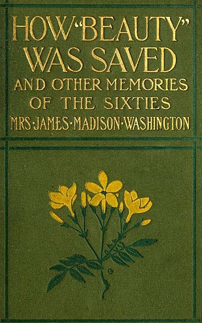 How Beauty Was Saved and Other Memories of the Sixties, Amanda Alcenia Strickland Washington