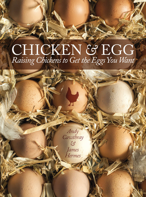 Chicken & Egg, Andy Cawthray, James Hermes, Kate Osborne