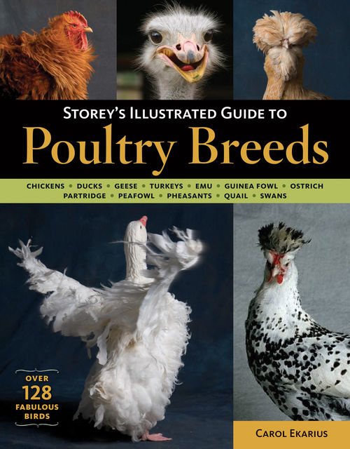 Storey's Illustrated Guide to Poultry Breeds, Carol Ekarius