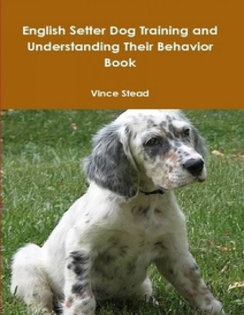 English Setter Dog Training and Understanding Their Behavior Book, Vince Stead