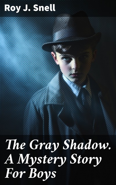 The Gray Shadow. A Mystery Story For Boys, Roy J.Snell