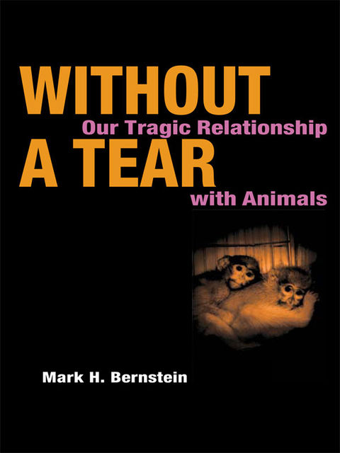 Without a Tear, Mark Bernstein