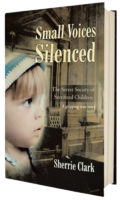 SMALL VOICES SILENCED, Sherrie Clark
