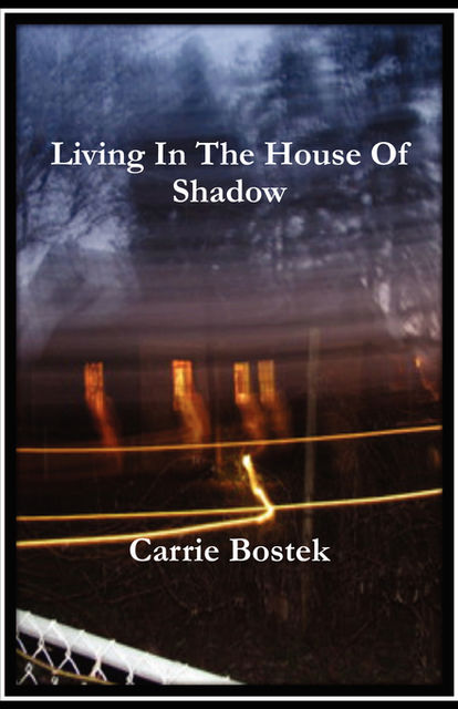 Living In The House Of Shadow, Carrie Bostek
