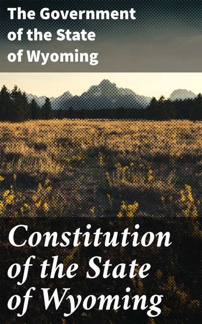 Constitution of the State of Wyoming, The Government of the State of Wyoming