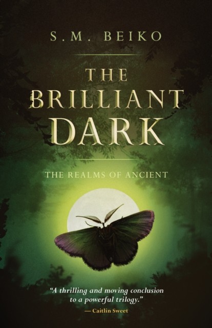 Brilliant Dark, S.M. Beiko