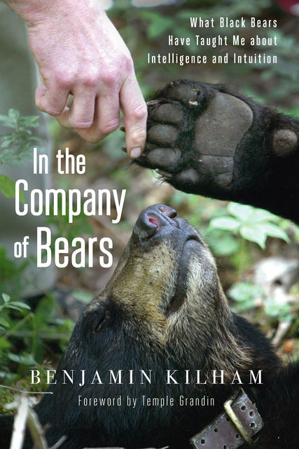 In the Company of Bears, Benjamin Kilham